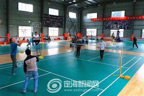 羽毛球 的图像结果