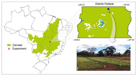 Silicate Agrominerals Mitigate Greenhouse Gas Emissions and Enhance ...
