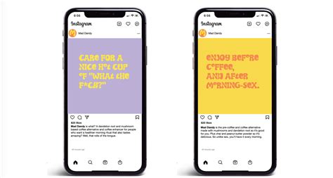 Mad Dandy Mushroom Coffee | Startup Marketing | Division of Labor