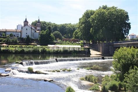 THE BEST Santo Tirso Horse Tracks (2026) - with Reviews