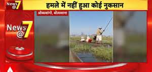 Breaking: Botswana Elephant Charges Tourists In Okavango Delta Causing ...