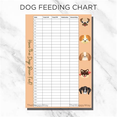 Multiple Cation Chart - Etsy