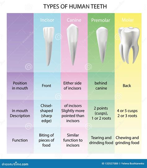 Types of Anesthesia Explained | General vs. Local vs. Regional Anesthesia - Face Surgery