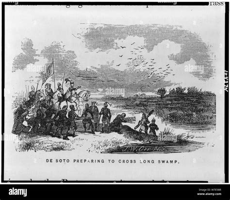 Swamp print Black and White Stock Photos & Images - Alamy