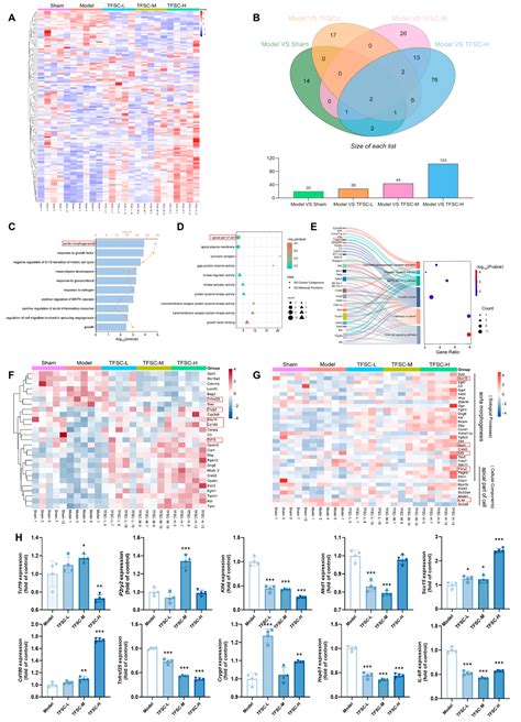 Total Flavonoids from Snow Chrysanthemum Exert Synergistic Vascular and Neuroprotective Effects ...