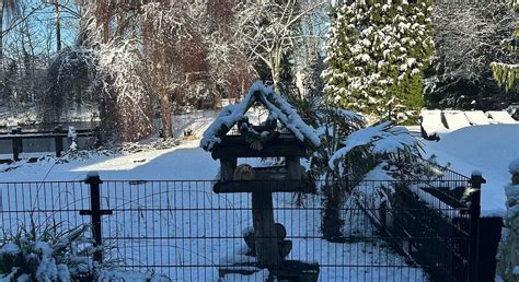 B&B MON PLAISIR (Wolphaartsdijk) - B&B Reviews & Photos - Tripadvisor