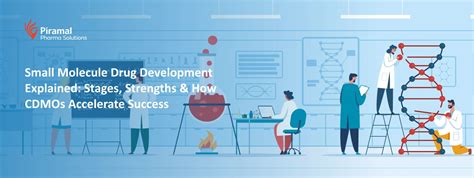 Small Molecule Drug Development & CDMO Expertise