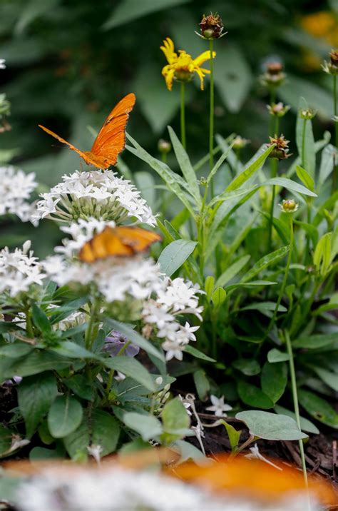 When is the first day of spring 2026? How warm will spring be in TN?