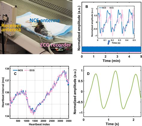 No-touch measurements of vital signs in small conscious animals | Science Advances