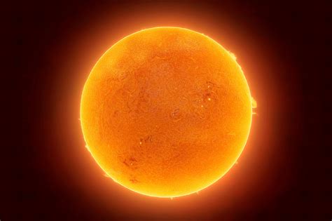 Científicos alertan sobre una amenaza que pondría en riesgo la vida en ...