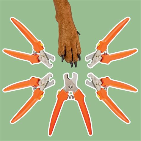 I'm a Vet—and These Are the Only Dog Nail Clippers I Use