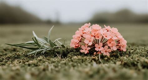 How Does Certification Reduce Long Term Operational Risks? → Learn