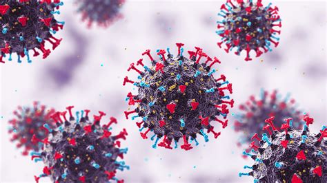 10th Annual Immunisation Forum 2026 - Immunisation Coalition