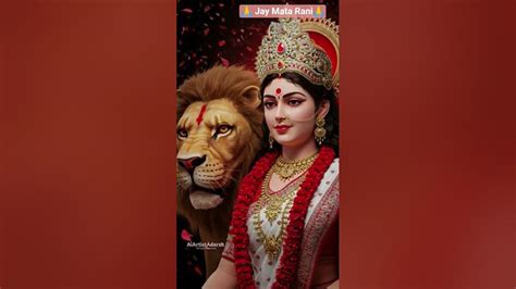 Durga Python 的图像结果