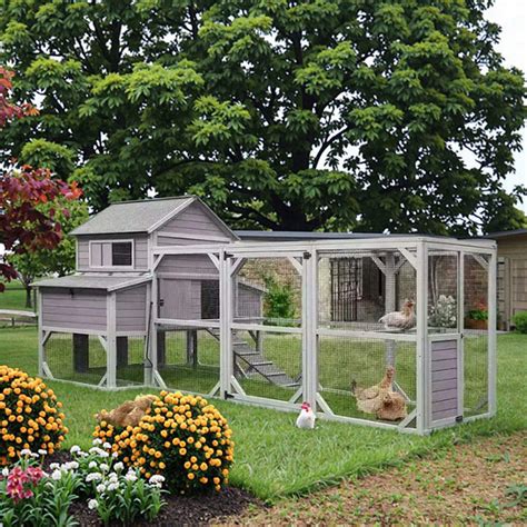 Do Birds Like the Dark? No, But They Adapt to It