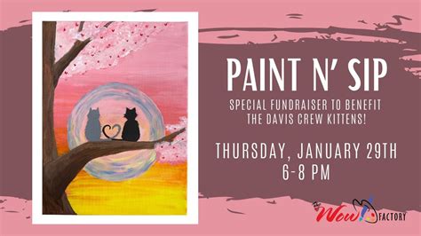 The Davis Crew Kittens January Paint n’ Sip Fundraiser, 3453 University ...