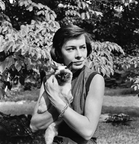 writers and their cats: toni morrison / albert camus / patricia ...