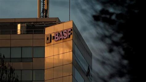 BASF plans to set up global digital hub in Hyderabad - The ...