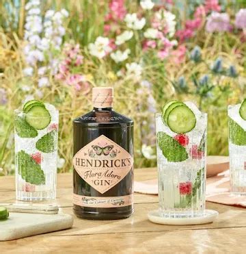 Top 10 Gin Brands in India with Price List -June, 2024 | magicpin blog