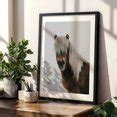 northern horse - Photography Horse Animal Wildlife Portrait Rural Farm ...