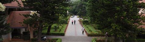 School of Social Sciences | National Institute of Advanced Studies