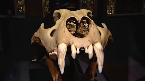 This animal has been gone for thousands of years... and scientists are ...