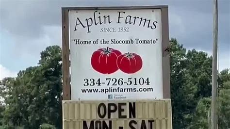 News4 First Alert Weather Extra: Rising, falling average rainfall totals