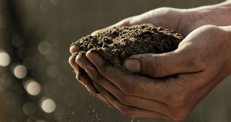 How-to Compost & Build Nutrient Rich Soil with Mark Stumpf-Allen ...