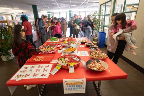 Lunar New Year event fills Springfield Library with color - The Chronicle