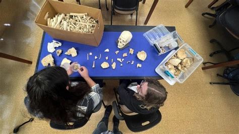 Forensic anthropology program booming at Ohio State University | WOSU ...