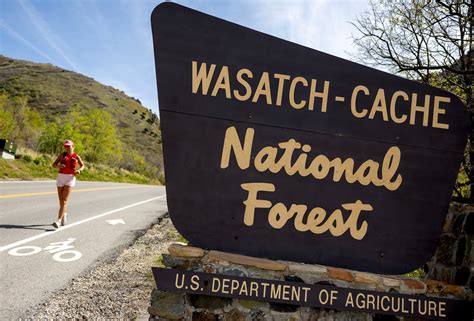 Why is the U.S. Forest Service moving to Salt Lake City? – Deseret News