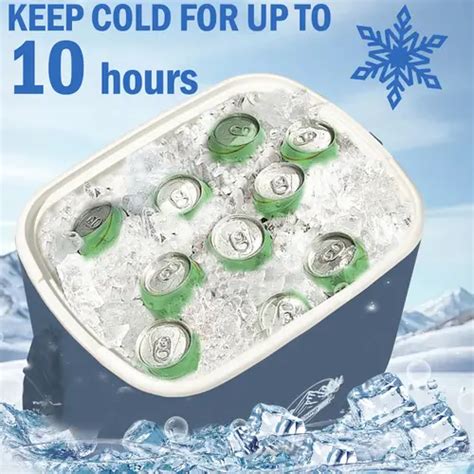cooler sold on Temu United States