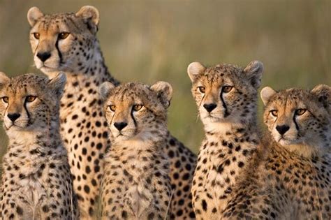 2026 Day Tour Experience to Tsavo East National Park - with Reviews ...