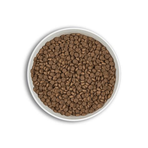 ERA Grain-Free Monoprotein Duck Breed S | Cunipic