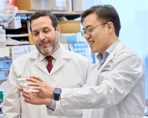 Visitor Screener-TH Lobby-Evening Shift (37.5 Hours) job at NYU Langone ...