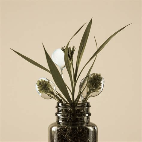 How Does Transparency in Data Sourcing Impact Public Trust? → Learn