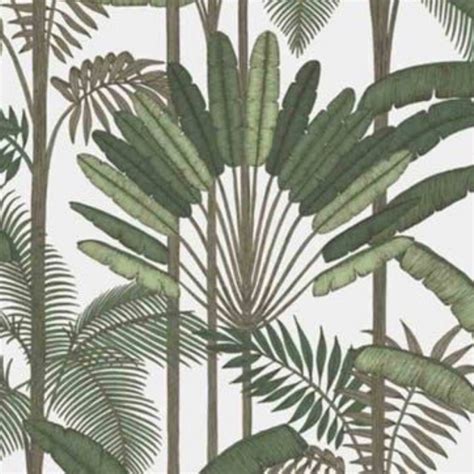 Superfresco Cairo Palm Wallpaper Green | Wallpaper Shop