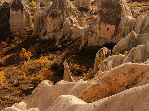 RELIANCE TOUR TRAVEL AGENCY (2026) All You Need to Know BEFORE You Go ...