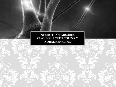 Neurotransmisores clásicos: acetilcolina y noradrenalina | PPTX