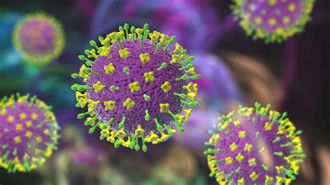 Everything to know about Nipah virus amid cases being detected in India - ABC News