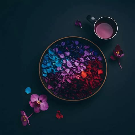 Athlete Peripheral Vision · Theme