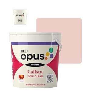 Birla Opus Calista Ever Clear Interior Wall Paint (10L, Preloved Colour ...