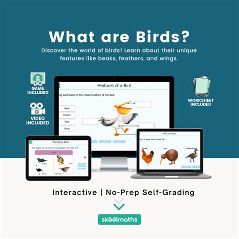 What are Birds? | Skoolmaths- Lessons. Revisions. Practice.