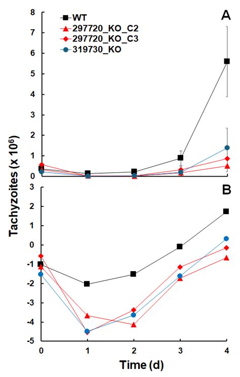 Pleiotropic Effects on Tachyzoite and Host Cell Proteomes in Knock-Out ...