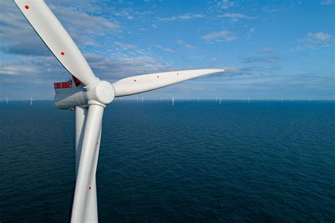 Offshore wind’s clean energy potential remains largely untapped, say experts