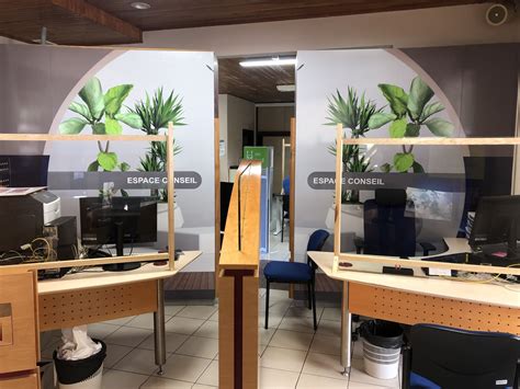 Bulbizar En Anglais – Bulbizarre En Anglais – TAVSK