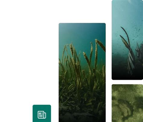 CDP Disclosure 2026: 10 consigli per migliorare il tuo punteggio CDP