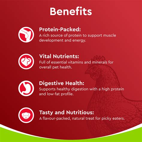 Buy Drools Dehydrated Real Chicken Chews Giblets 70g Dog Treats at Best ...