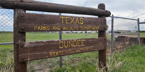 Inside one of the state’s largest fish hatchery that not many know about