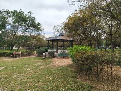 Nothing Phone 4a Pro - Full Specifications & Price in India (20th April ...